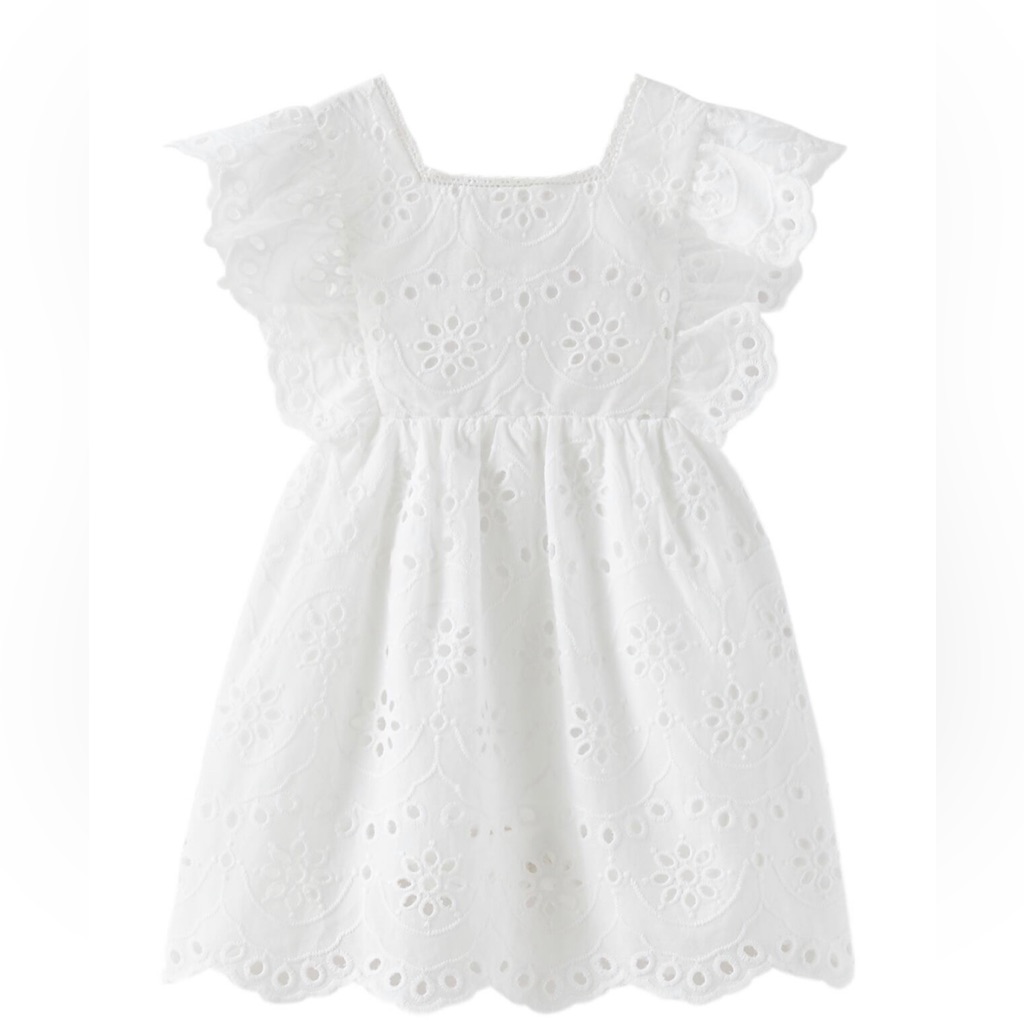 Zara Lace Embroidered Dress